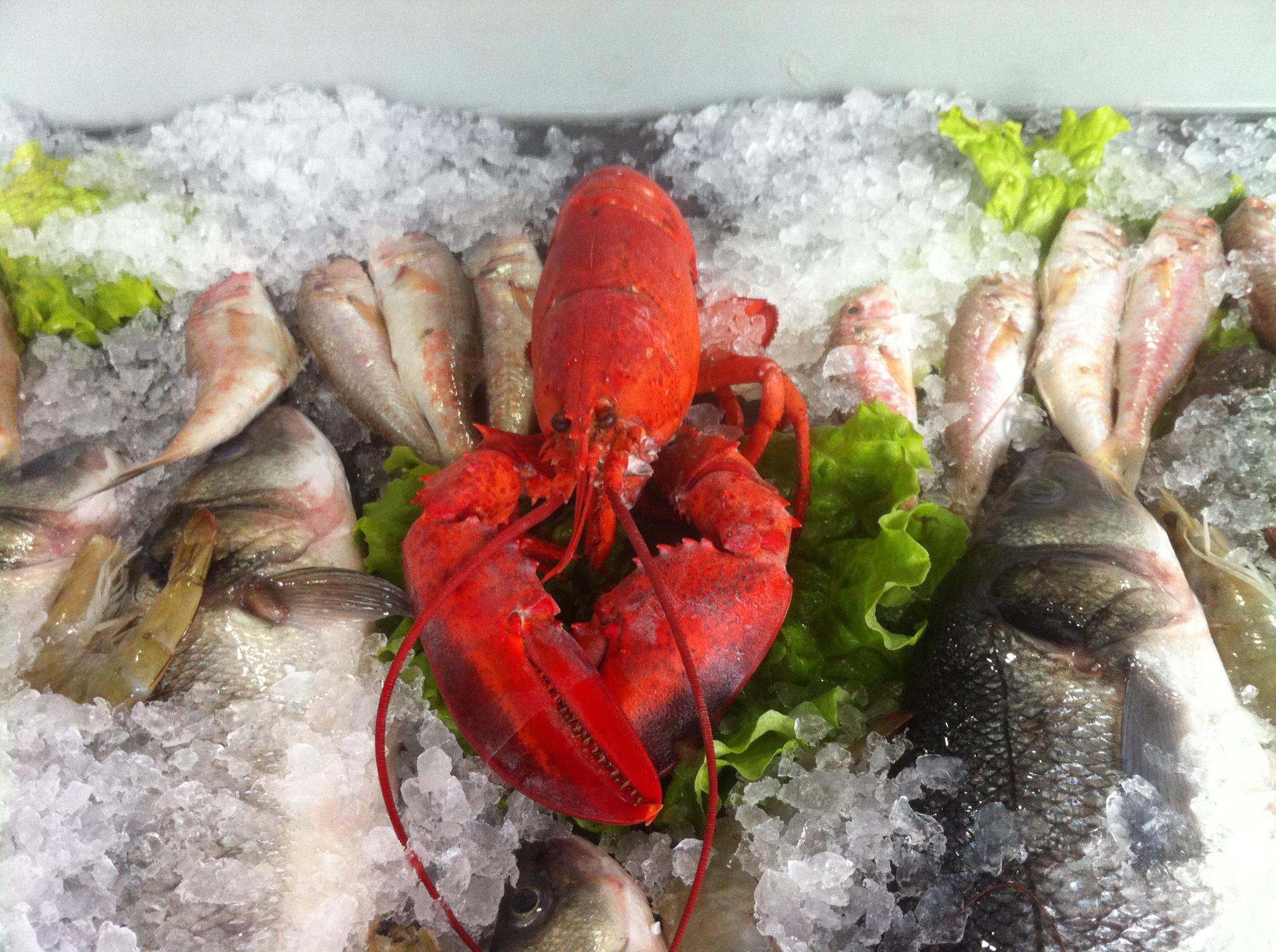 Fish Shop Detari photo 2