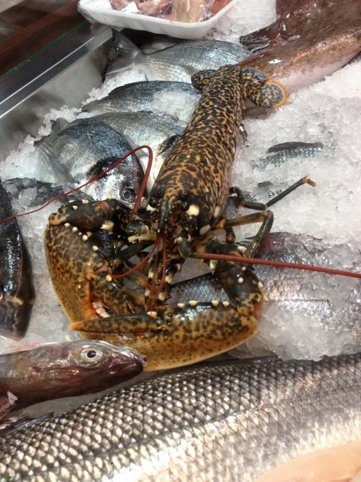 Fish Shop Detari