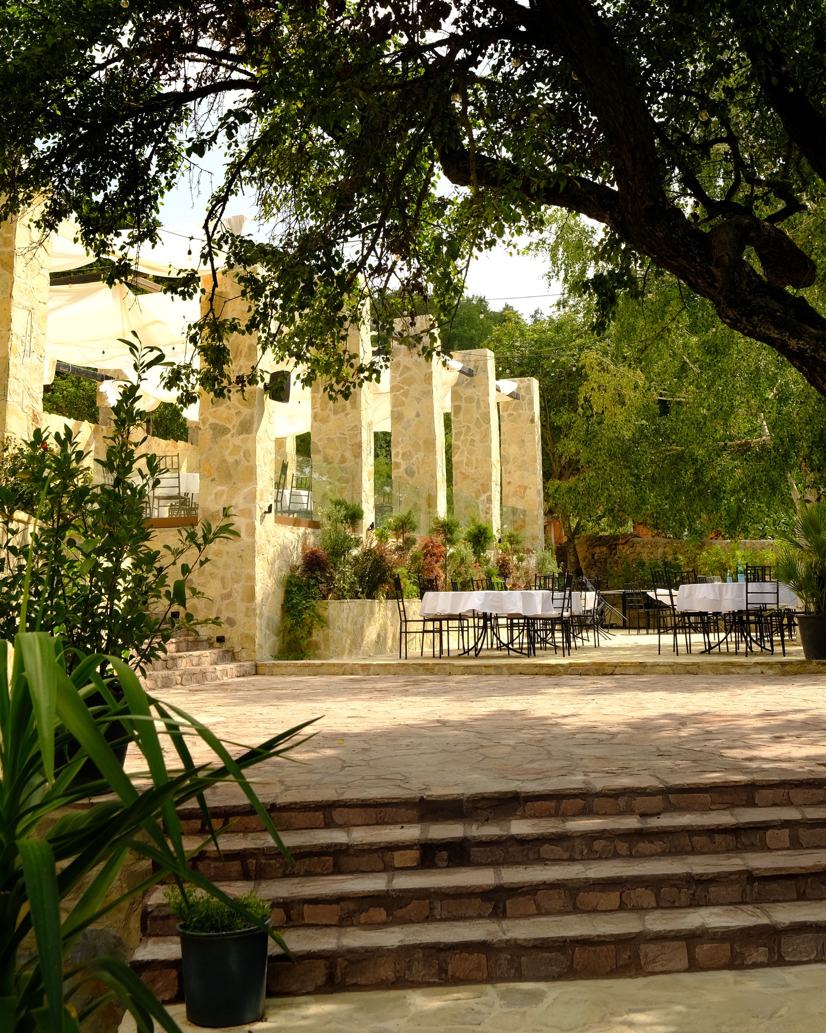 GAIA Restaurant photo 6