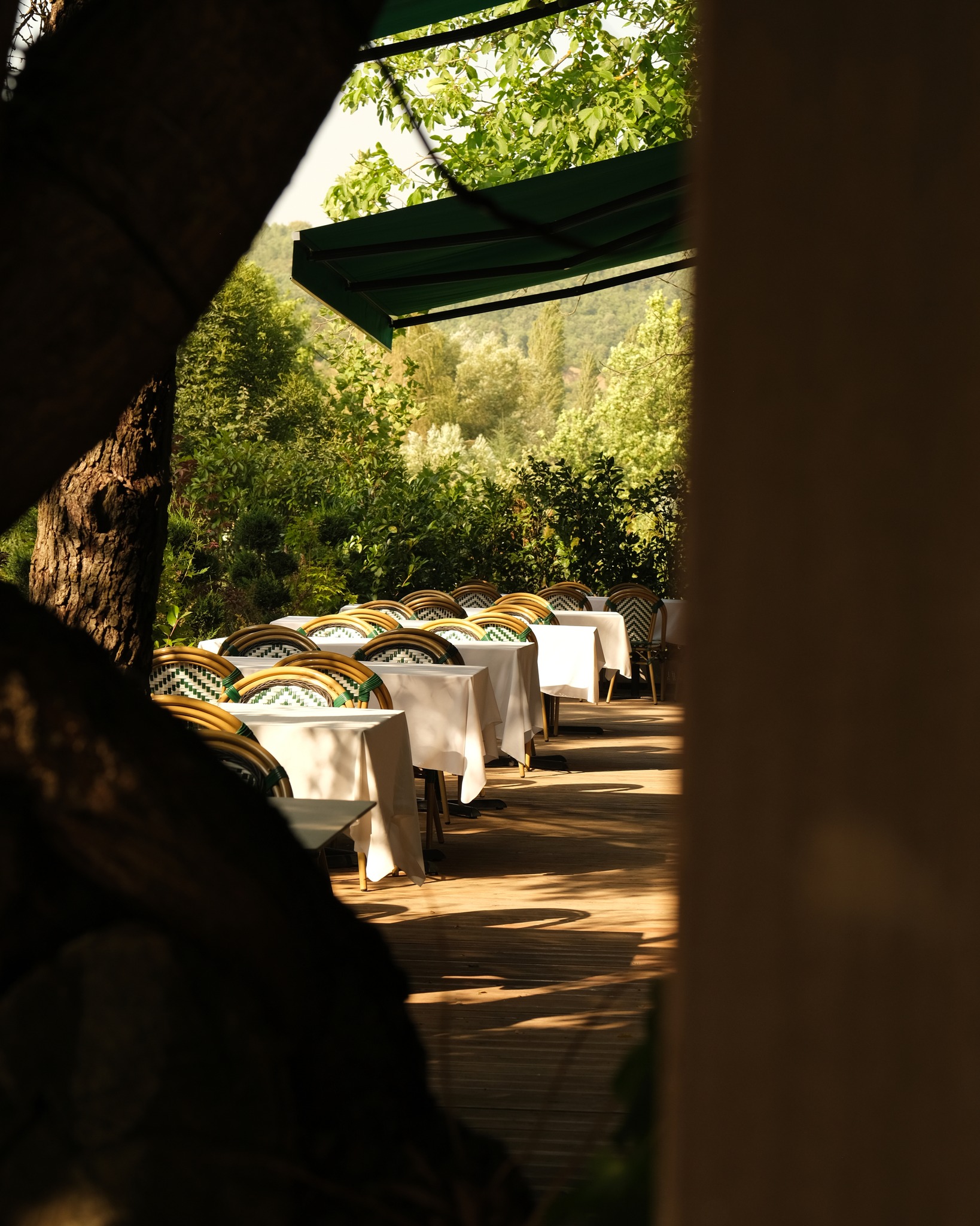 GAIA Restaurant photo 5
