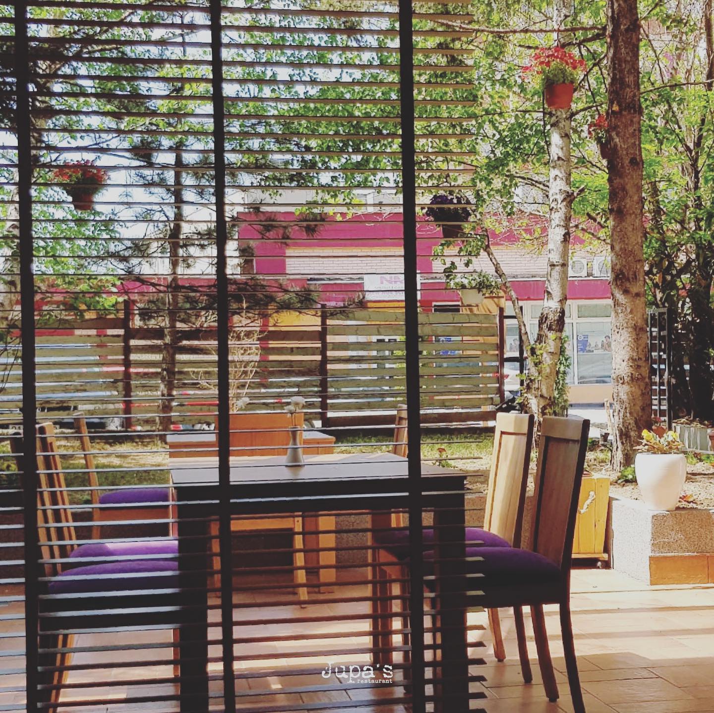 Jupa's Restaurant photo 2