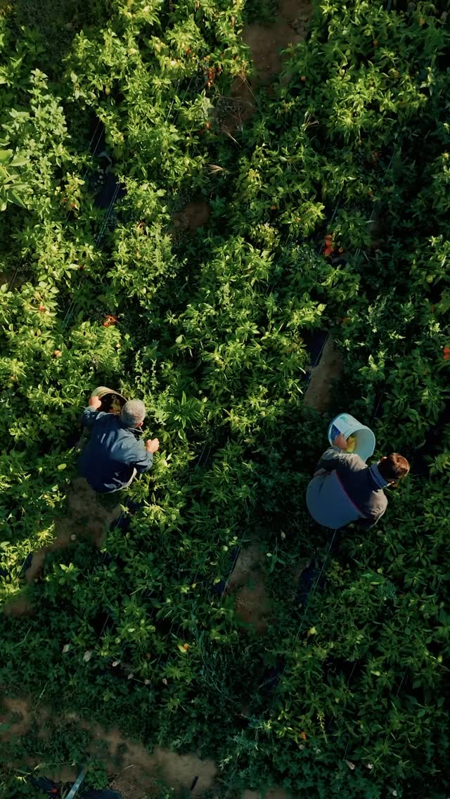 Molla E Egër Agroturizëm photo 1