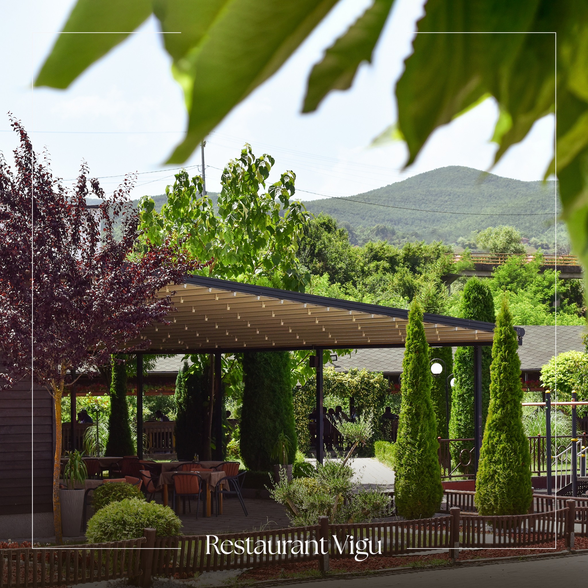 Restaurant Vigu photo 4