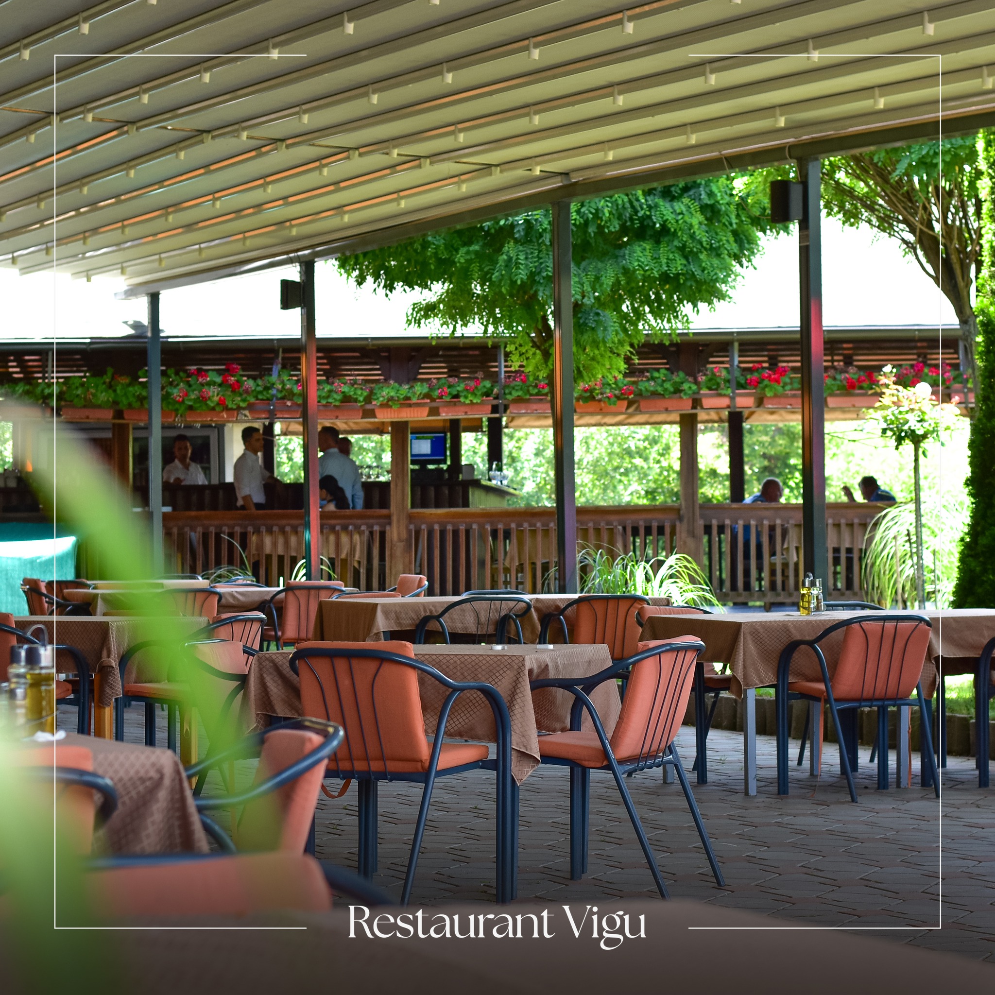 Restaurant Vigu photo 1