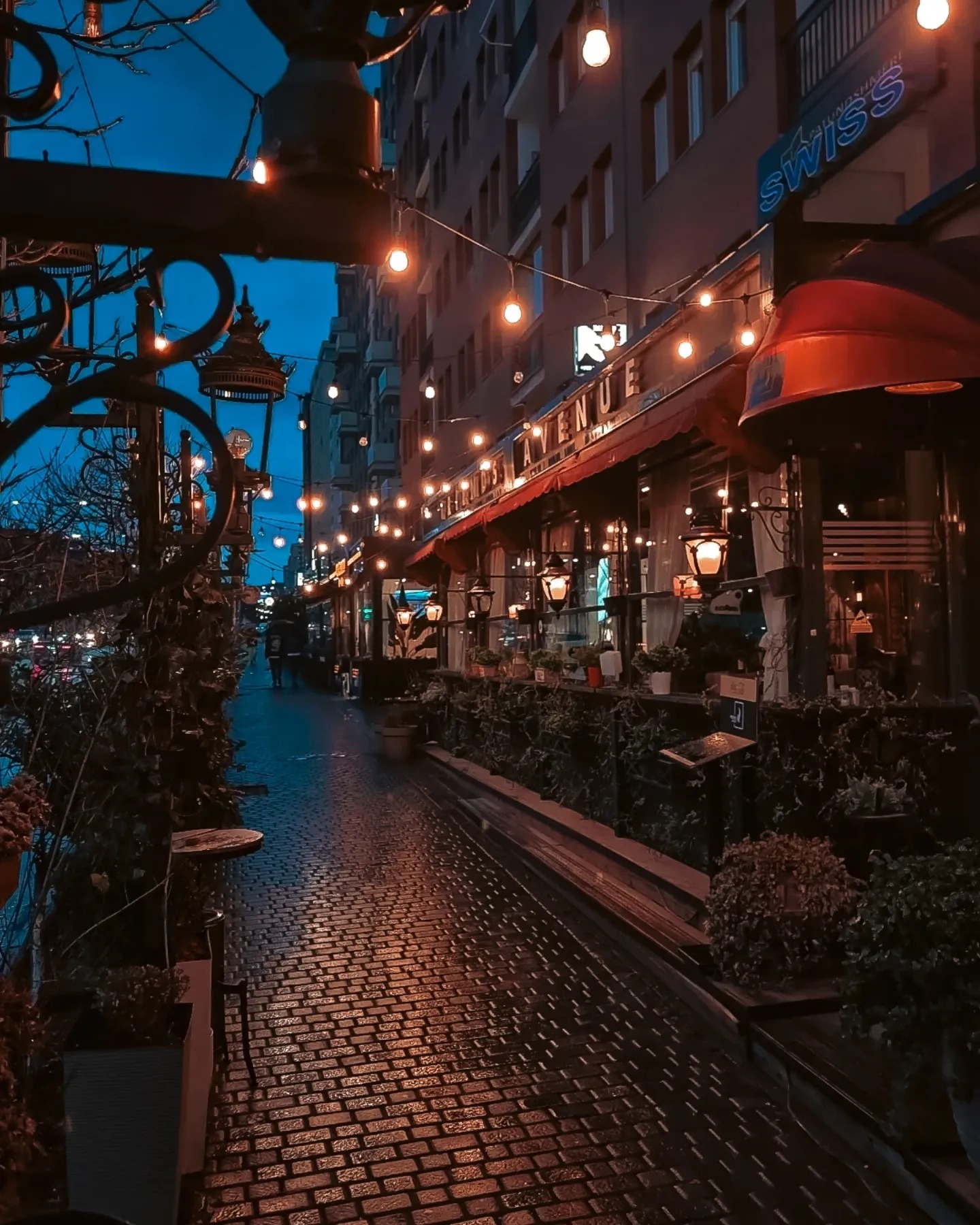 Friends Avenue photo 4