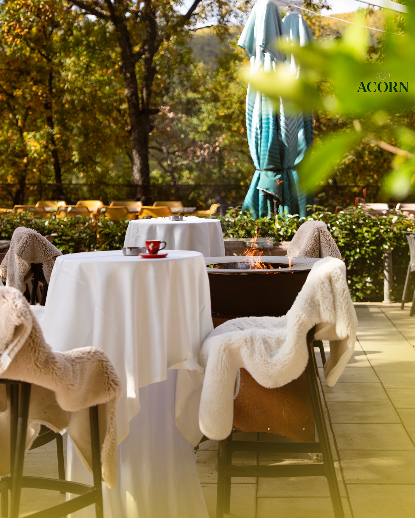 Acorn Restaurant photo 1