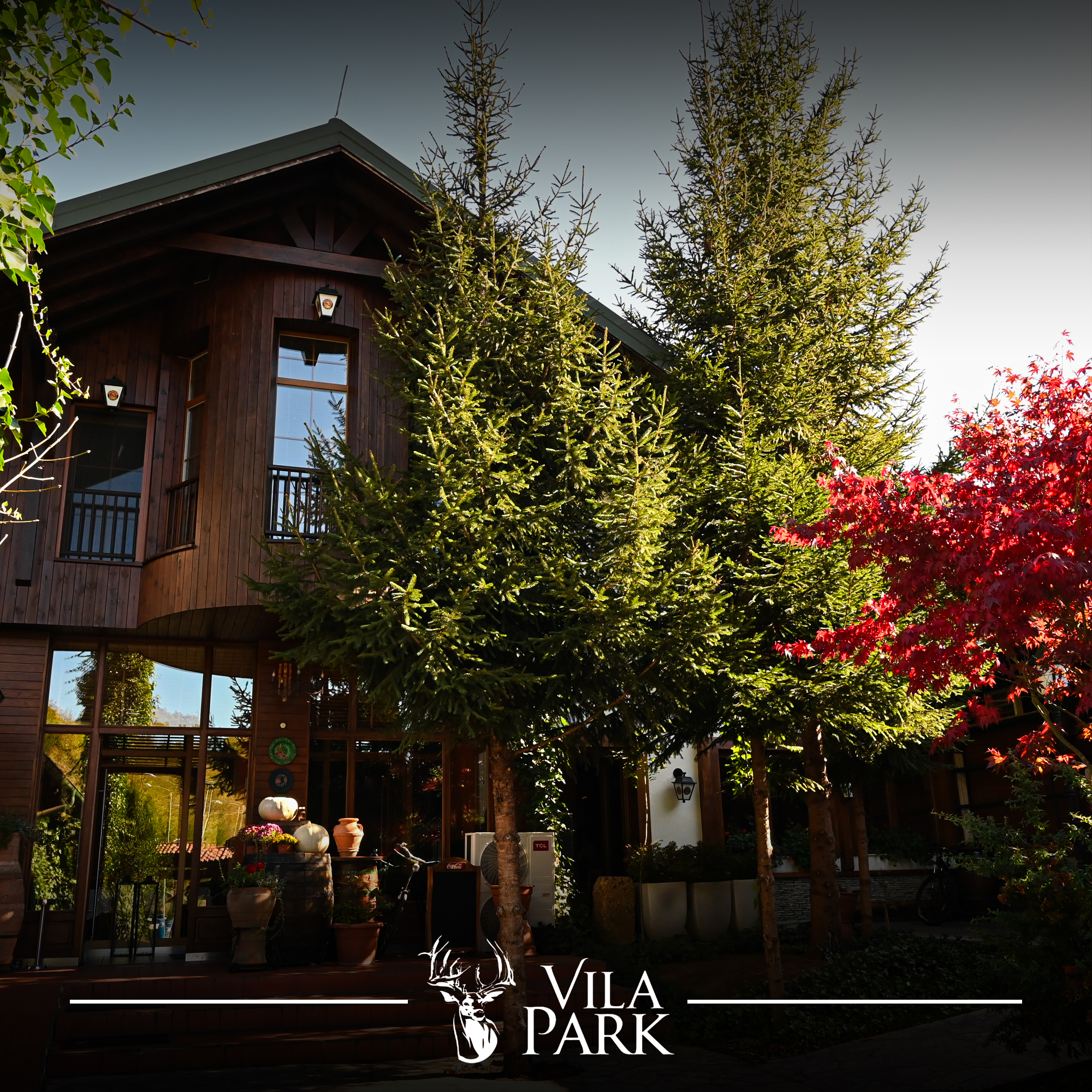 Vila Park photo 3