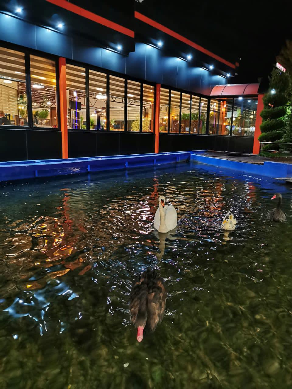 Restaurant Liqeni photo 6
