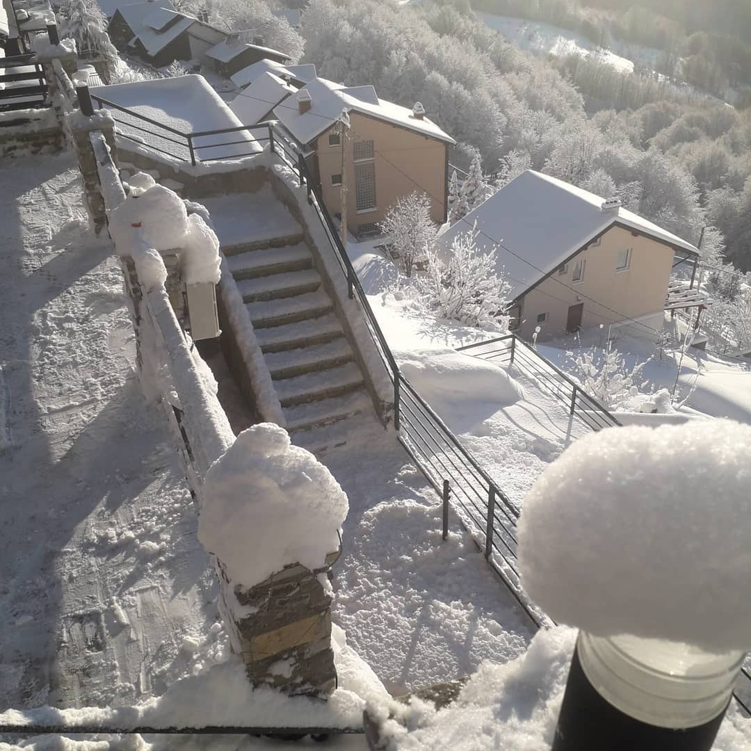 Te Pishat photo 6