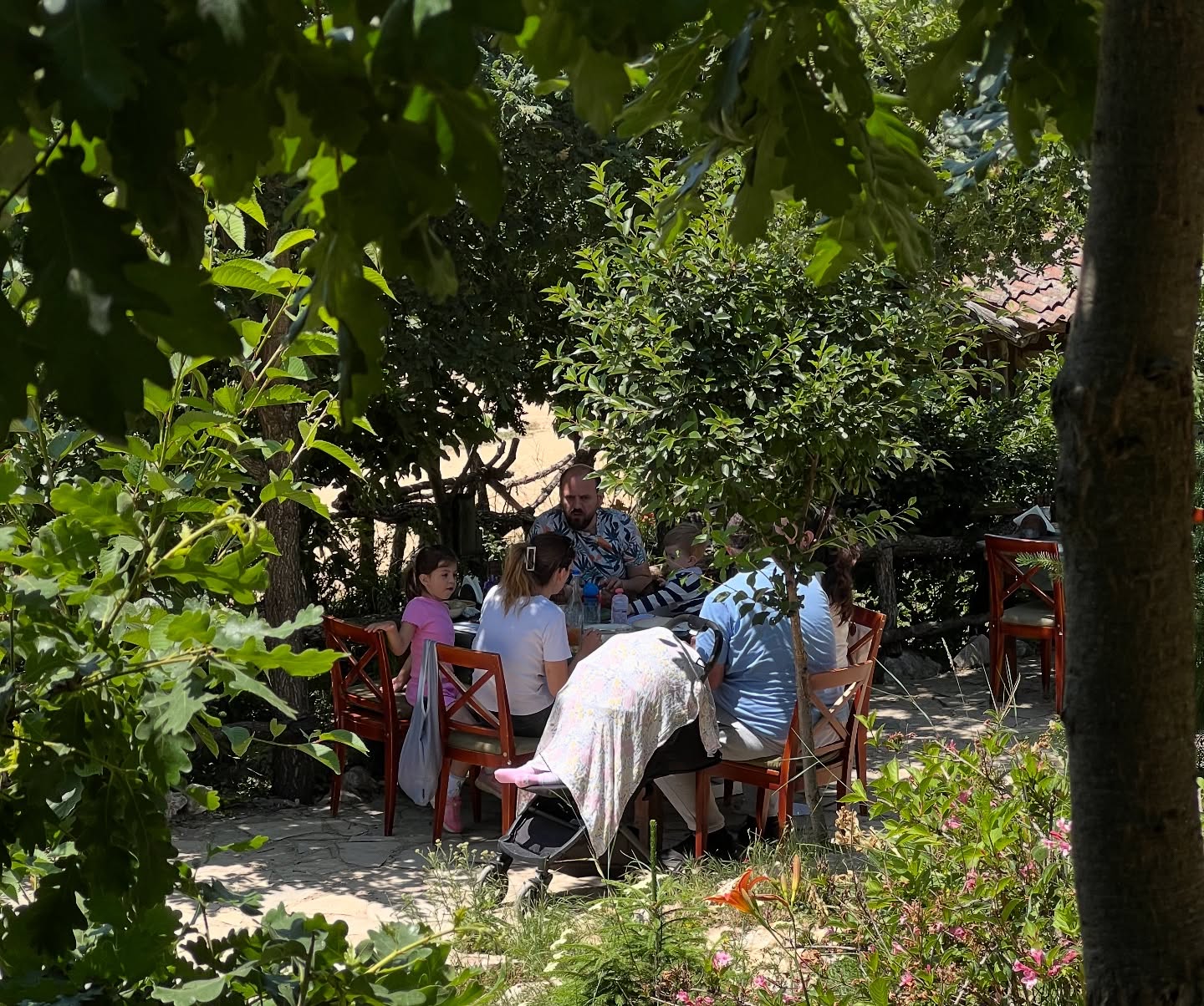 Hamari Agroturizëm photo 5