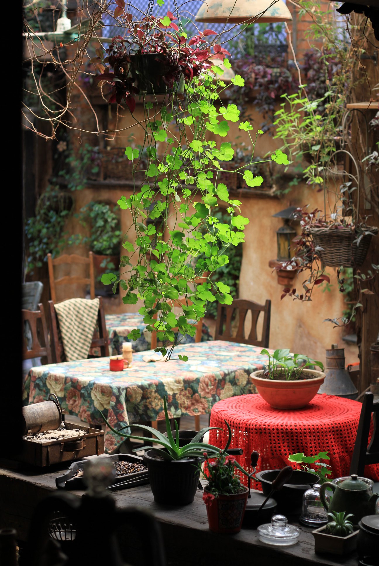 Liburnia Restaurant