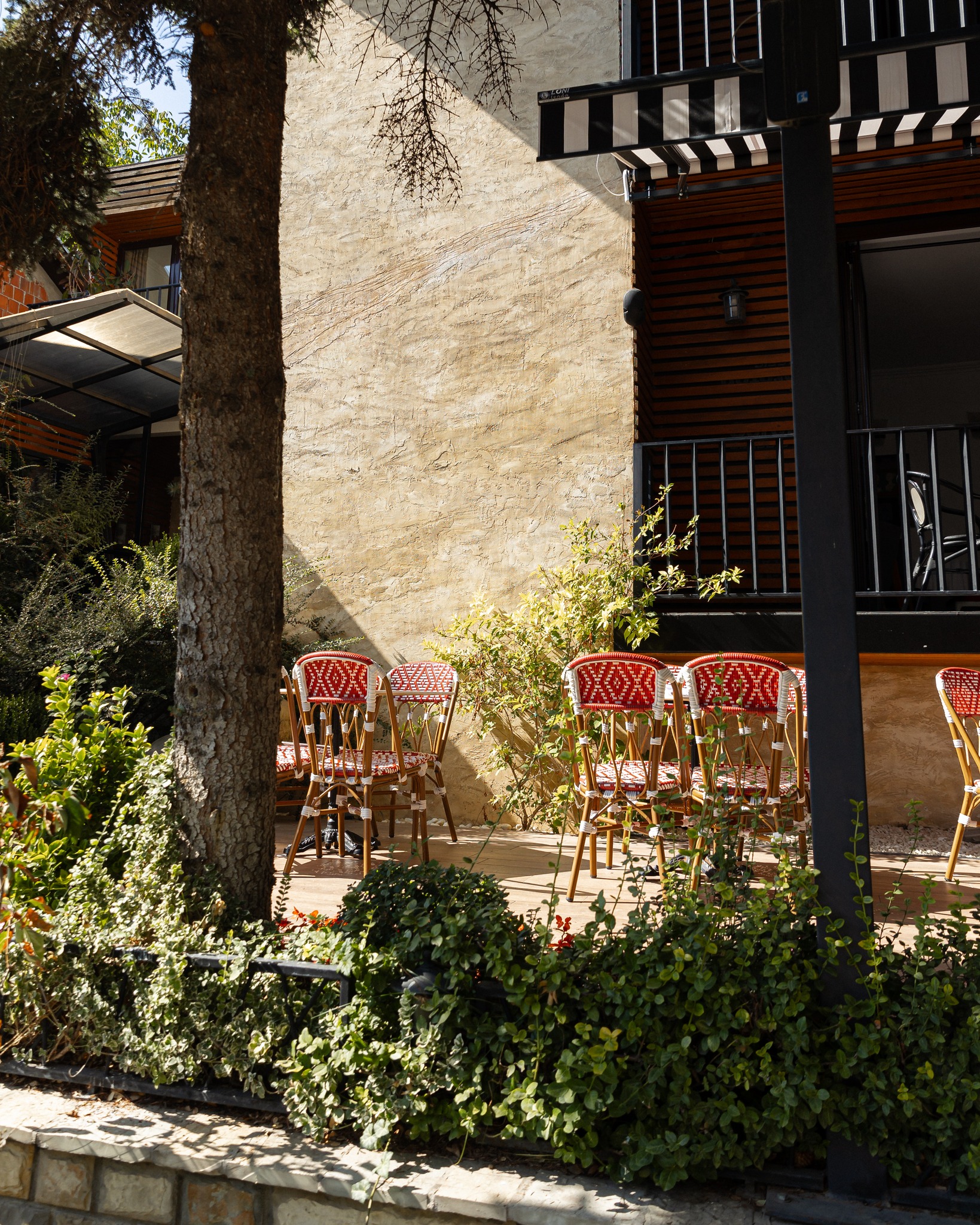 Casa Rita Restaurant photo 5