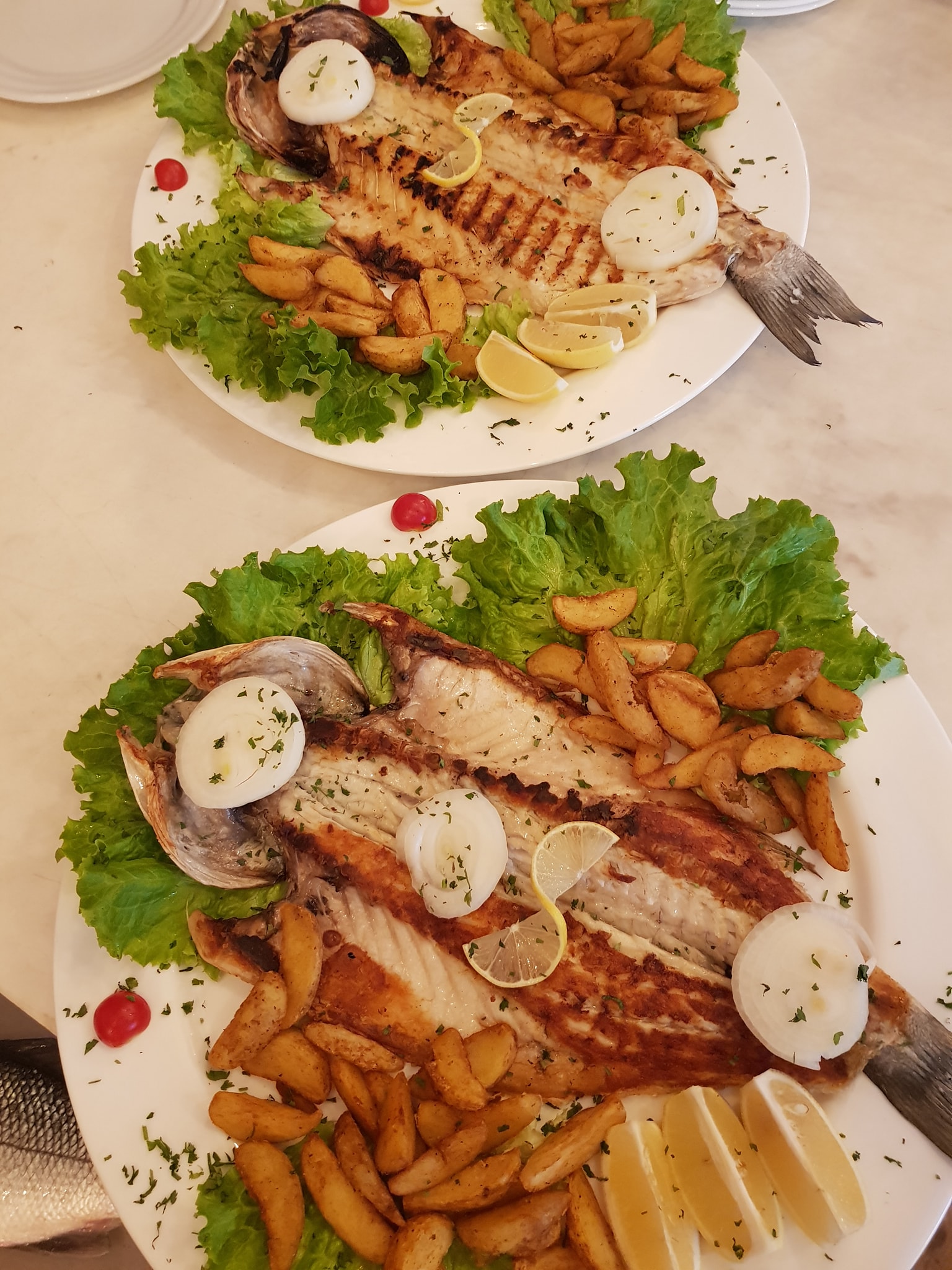 Fish House photo 4