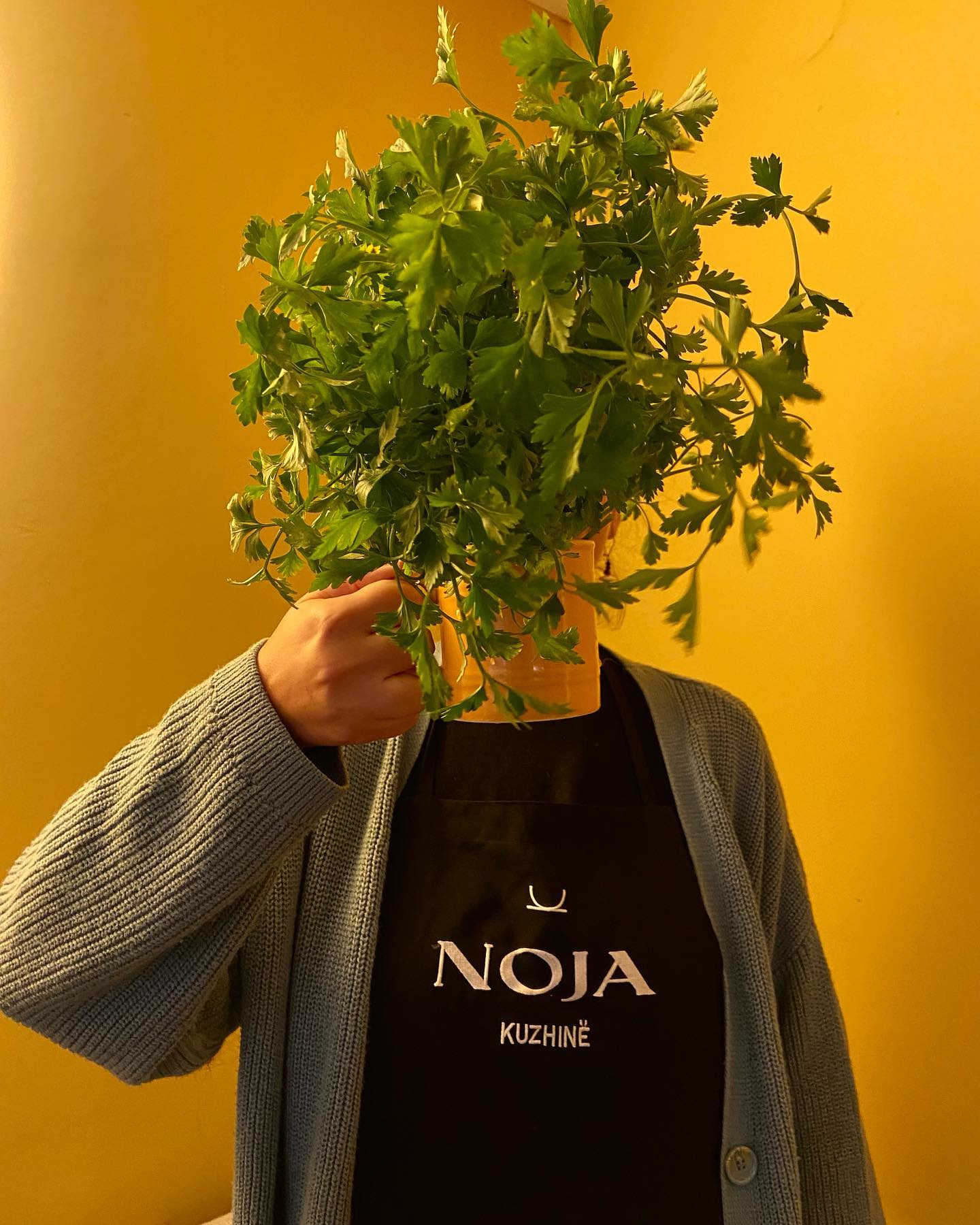 Noja Kuzhinë